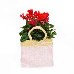 Giỏ Hoa Chậu Thiết Kế 003