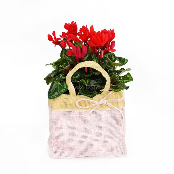 Giỏ Hoa Chậu Thiết Kế 003