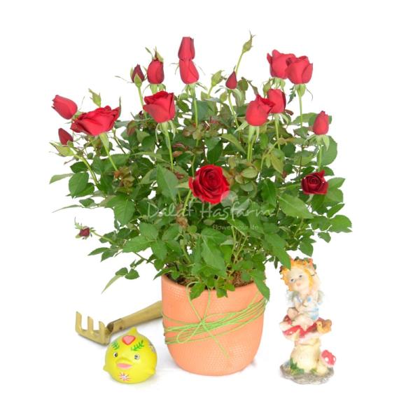 Chậu Đất Nung Hoa Hồng 016