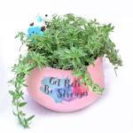 Chậu Trang Trí Chào Ngày Mới 002