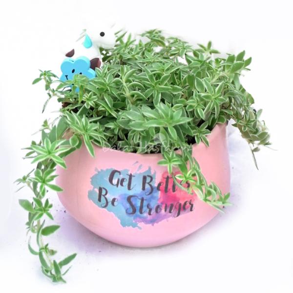 Chậu Trang Trí Chào Ngày Mới 002