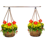 Đón Năm Mới Bình An