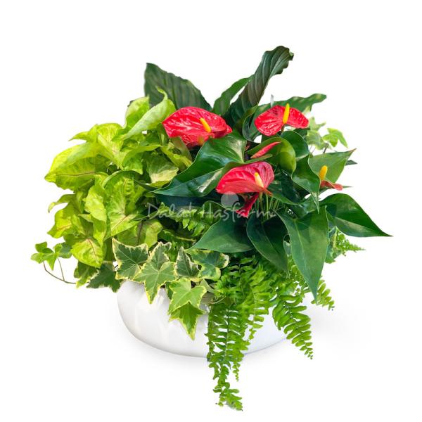 Chậu Cây Xanh Thiết Kế Đồng Xanh 095