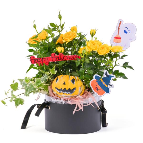 Hoa Thiết Kế Halloween 600