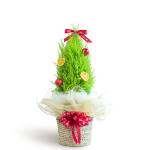 Giỏ Cây Tùng Thơm 40cm+ Decor 085