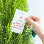 Chậu Giấy Gói Cây Tùng Thơm (40cm) 072