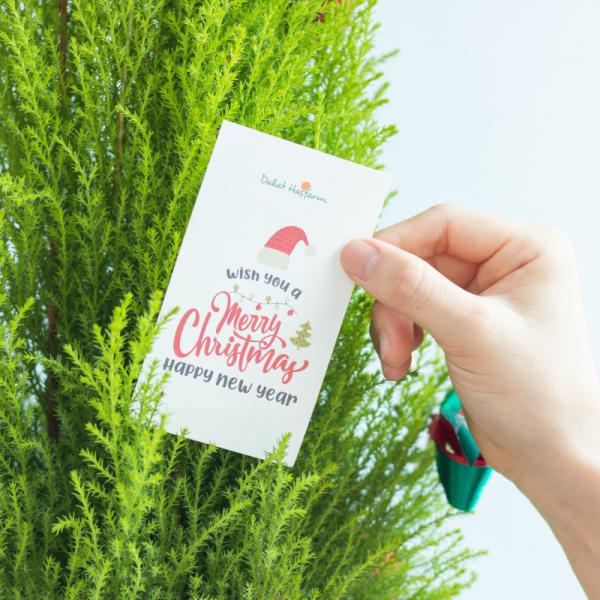 Chậu Giấy Gói Cây Tùng Thơm (40cm) 072