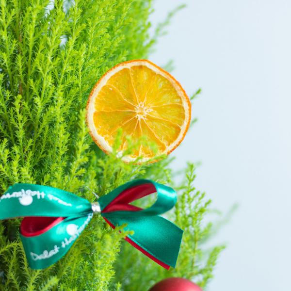 Giỏ Cây Tùng Thơm 60cm+ Decor 086