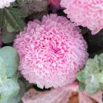 Giỏ Hoa Yêu Thương Trân Quý 401