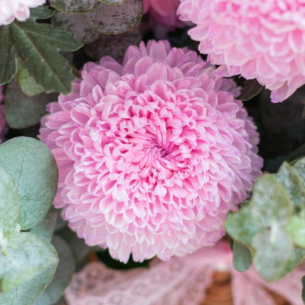 Giỏ Hoa Yêu Thương Trân Quý 401