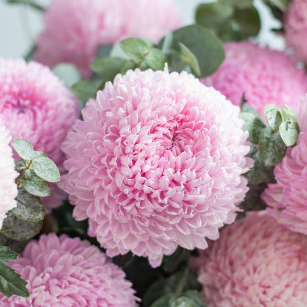 Giỏ Hoa Yêu Thương Trân Quý 401