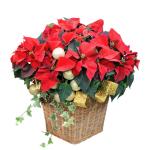 Giỏ Hoa Chậu Thiết Kế Hân Hoan 136