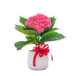 Chậu Hoa Thiết Kế Chân Thành 065