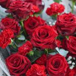 Bó Hoa Yêu Thương Nồng Ấm 352