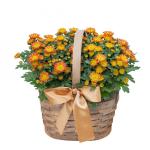 Giỏ Hoa Thiết Kế Nắng Ấm 048