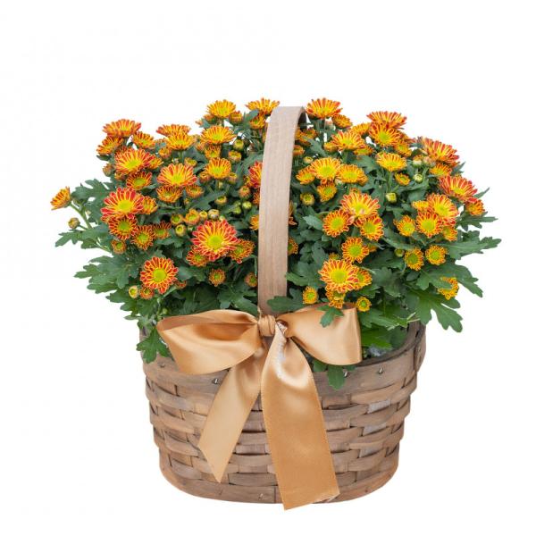 Giỏ Hoa Thiết Kế Nắng Ấm 048