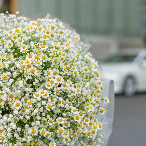 Bó Hoa Giọt Nắng Tinh Khôi 056