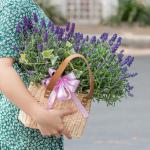 Giỏ Hoa Lavender Hạnh Phúc 128
