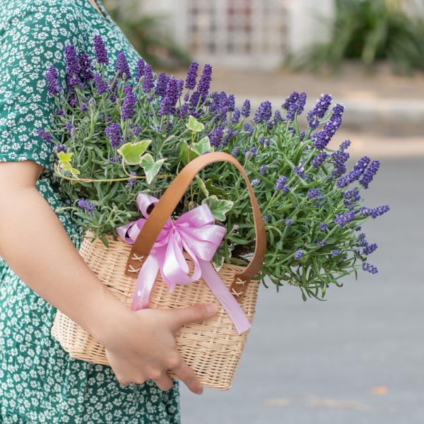 Giỏ Hoa Lavender Hạnh Phúc 128