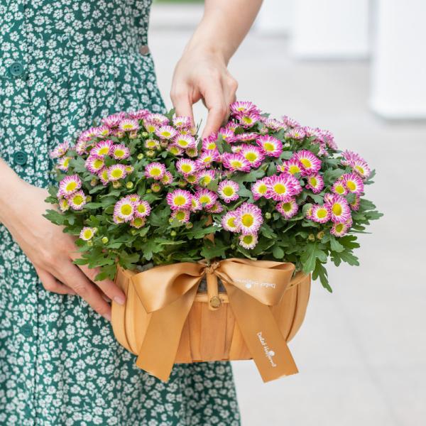 Giỏ Hoa Thiết Kế Nắng Ấm 048