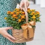 Giỏ Hoa Thiết Kế Nắng Ấm 048