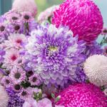 Bình Hoa Nắng Ấm Dịu Dàng 477