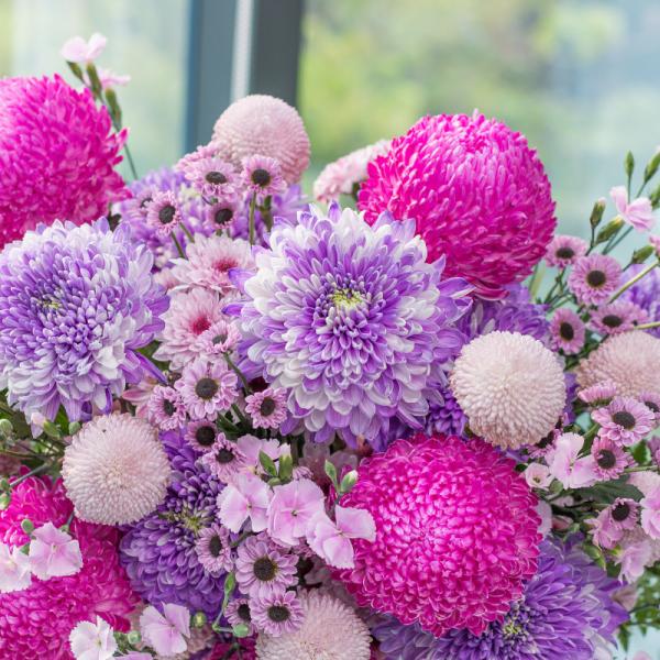 Bình Hoa Nắng Ấm Dịu Dàng 477