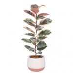 Chậu Cây Thiết Kế Đồng Xanh 047