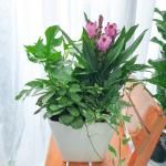 Chậu Hoa Thiết Kế Đồng Xanh 149