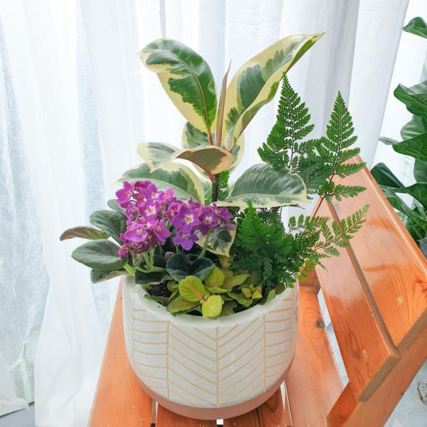 Chậu Cây Thiết Kế Đồng Xanh 148