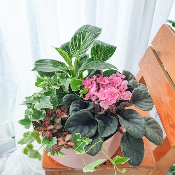 Chậu Cây Thiết Kế Đồng Xanh 151