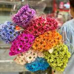 Bó Hoa Nắng Ấm Dịu Dàng 457