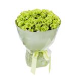 Bó Hoa Nắng Ấm Dịu Dàng 457