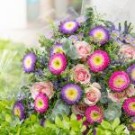 Bó Hoa Yêu Thương Rực Rỡ 480