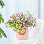 Chậu Sứ Cây Ngàn Chuông 013