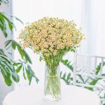 Bình Hoa Giọt Nắng Tinh Khôi 478