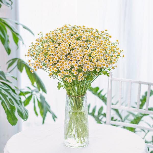 Bình Hoa Giọt Nắng Tinh Khôi 478