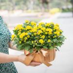 Giỏ Hoa Thiết Kế Nắng Ấm 048