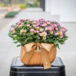 Giỏ Hoa Thiết Kế Nắng Ấm 048