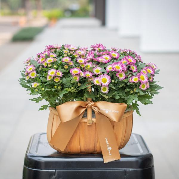 Giỏ Hoa Thiết Kế Nắng Ấm 048