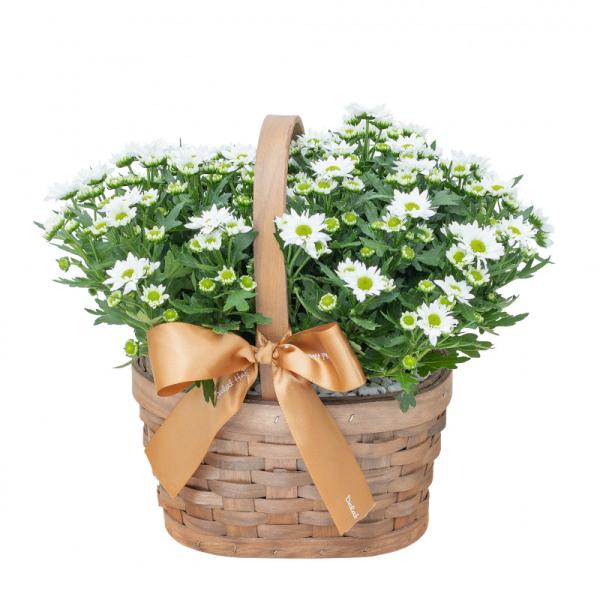 Giỏ Hoa Thiết Kế Nắng Ấm 048