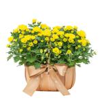 Giỏ Hoa Thiết Kế Nắng Ấm 048