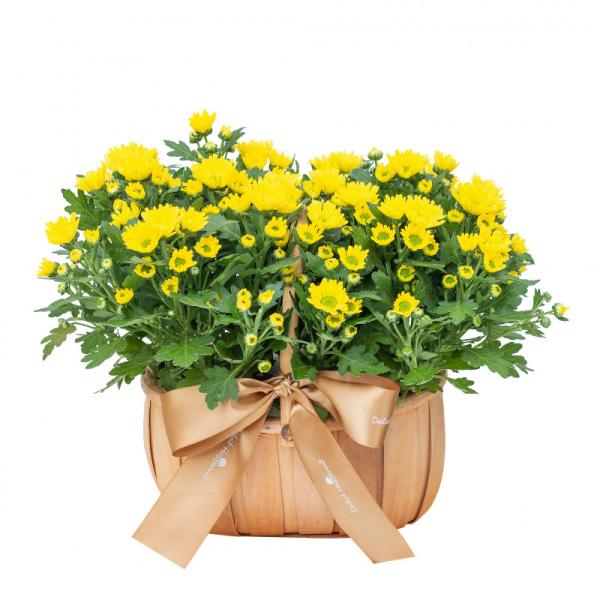 Giỏ Hoa Thiết Kế Nắng Ấm 048