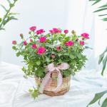 Giỏ Hoa Thiết Kế Yêu Thương 015