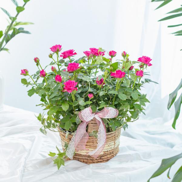 Giỏ Hoa Thiết Kế Yêu Thương 015