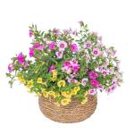 Giỏ Cây Ngàn Chuông 015