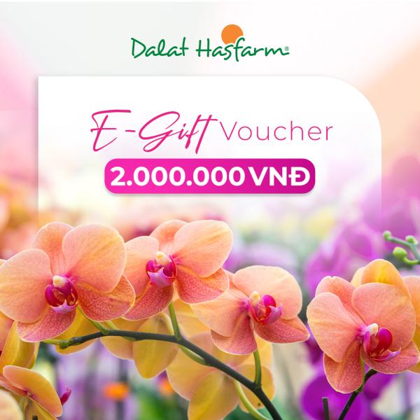 Phiếu quà tặng Dalat Hasfarm 2.000.000đ